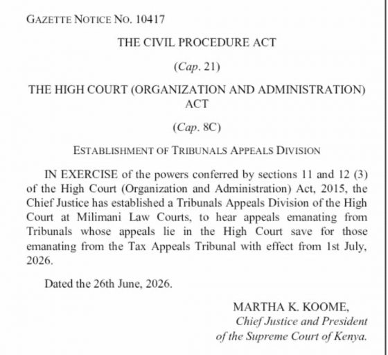 Establishment of the Tribunals Appeals Division of the High Court